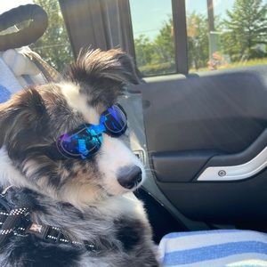 Meet your Posher, Stephen